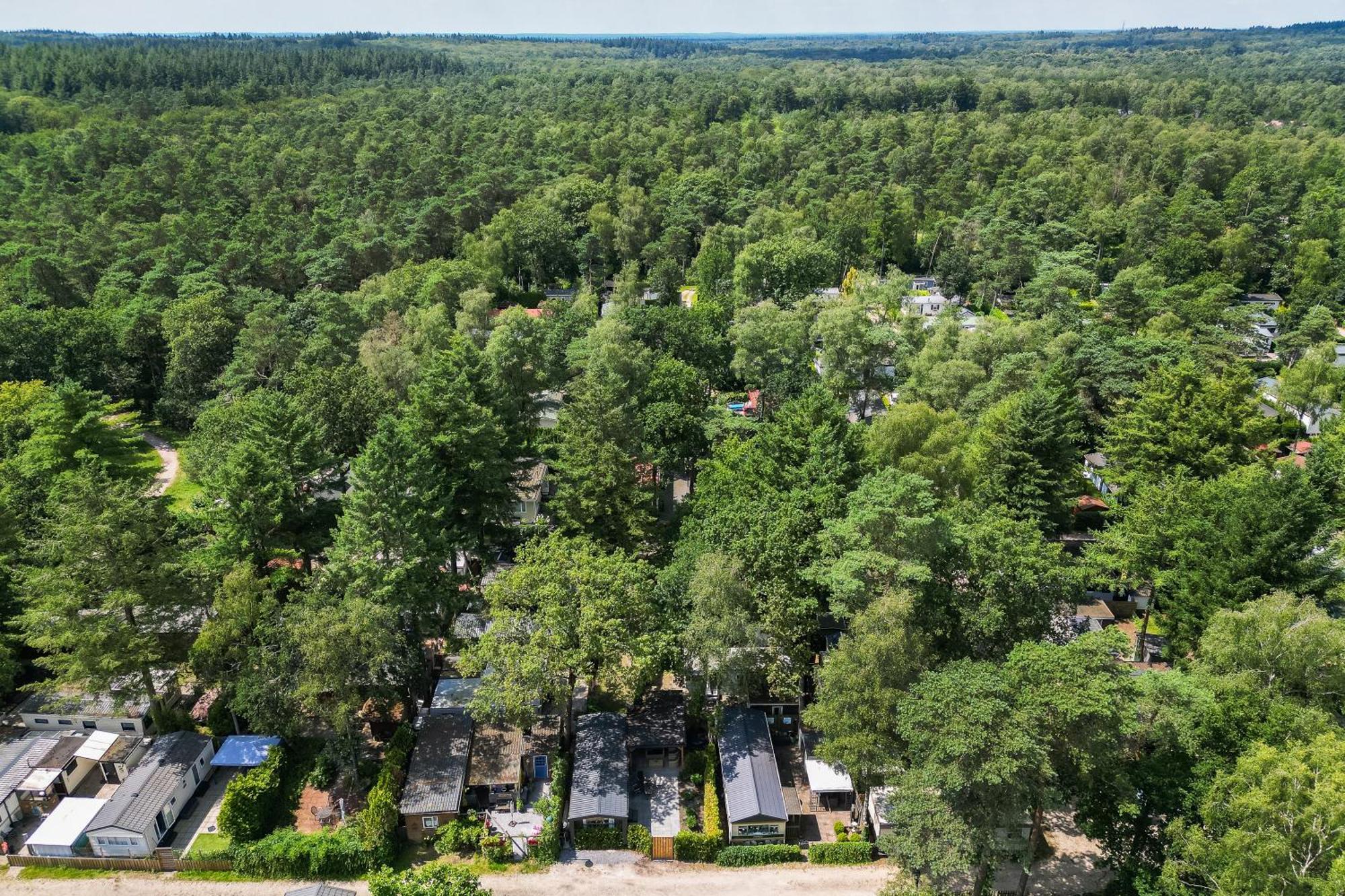 Veluwe Hoenderloo Luxury Chalet With Private Sauna And Hot Tub - Swimming Pool Tennis Court Supermarket Bowling Alley Theatre And Entertainment For Children Eksteriør bilde
