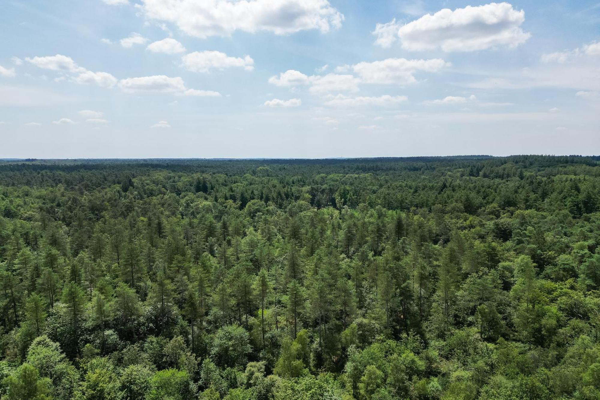 Veluwe Hoenderloo Luxury Chalet With Private Sauna And Hot Tub - Swimming Pool Tennis Court Supermarket Bowling Alley Theatre And Entertainment For Children Eksteriør bilde